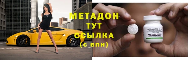 индика Козловка