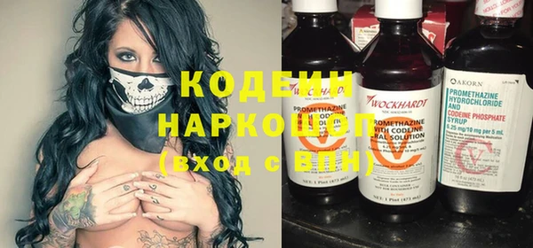 индика Козловка