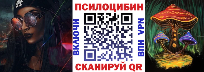 закладка  мориарти клад  Псилоцибиновые грибы мухоморы  Краснознаменск 