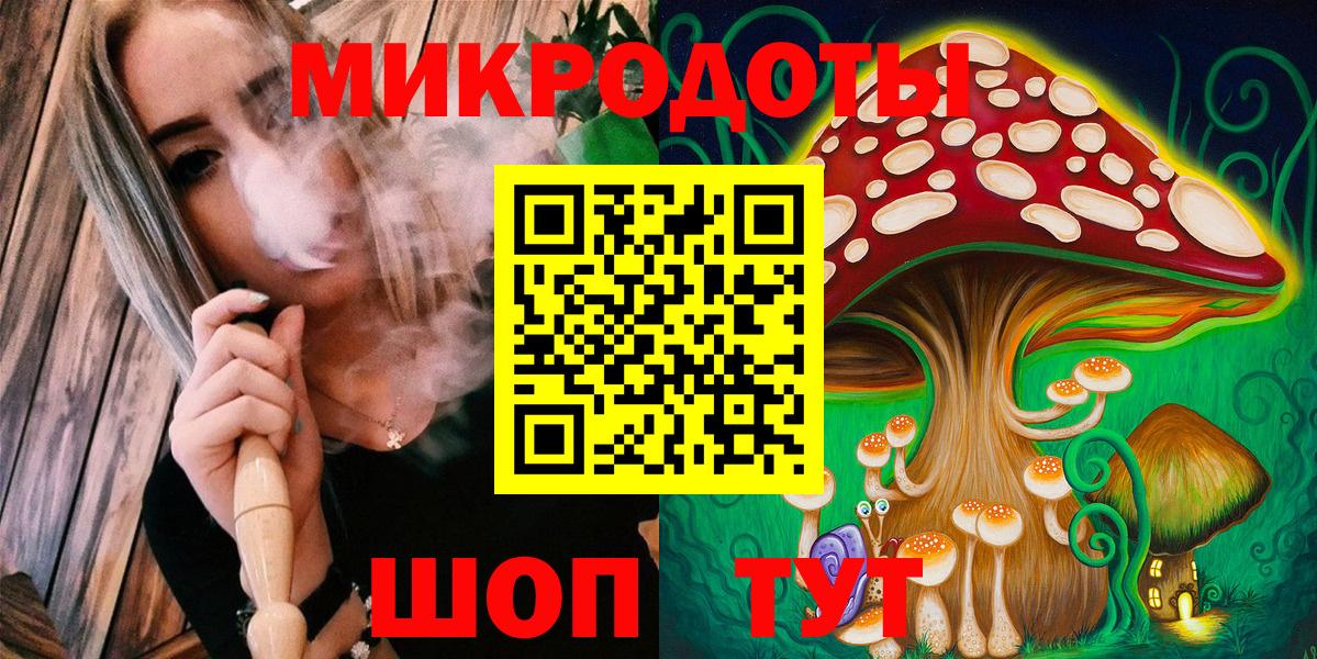 где продают   Псилоцибиновые грибы MAGIC MUSHROOMS  Краснознаменск  Вход с VPN  Псилоцибиновые грибы Psilocybine cubensis 
