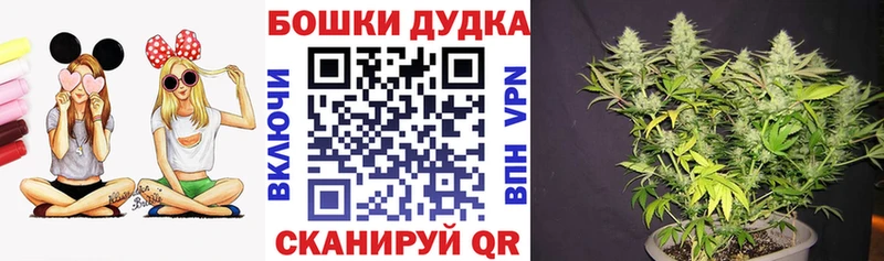 Каннабис White Widow Краснознаменск
