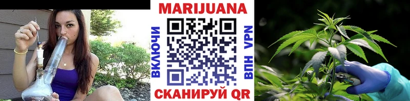 Конопля OG Kush  Краснознаменск 
